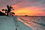 The isle of Maldives